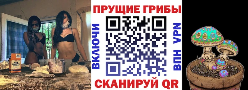 где продают наркотики  Нижнекамск  Псилоцибиновые грибы Magic Shrooms 
