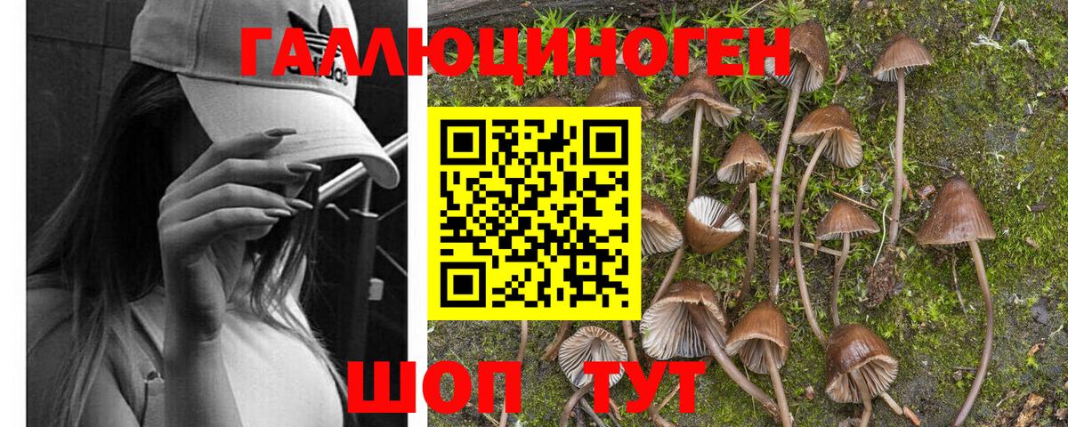 Псилоцибиновые грибы мухоморы  Нижнекамск  Псилоцибиновые грибы MAGIC MUSHROOMS 