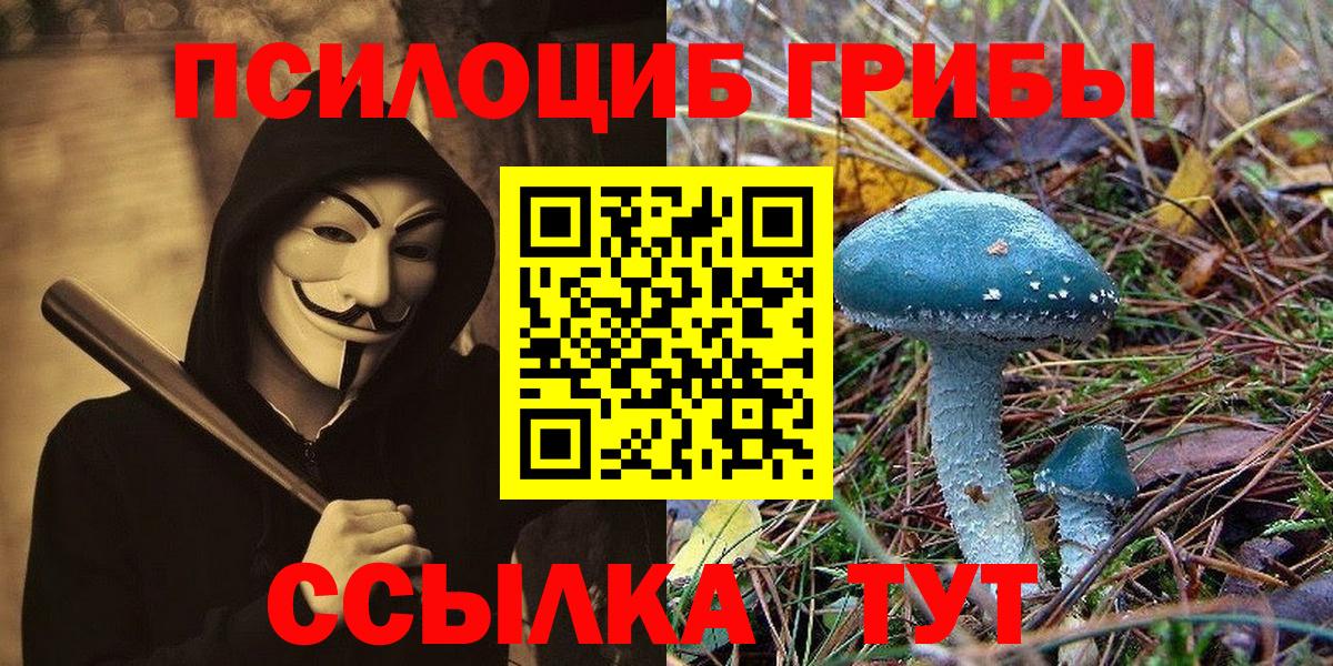 Нижнекамск  Псилоцибиновые грибы Psilocybine cubensis  Вход с VPN  Псилоцибиновые грибы прущие грибы 